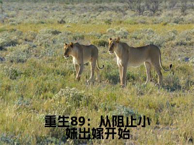 重生89:从阻止小妹出嫁开始(周扬)经典小说全文免费阅读无弹窗_(周扬)小说全文免费阅读最新章节_笔趣阁