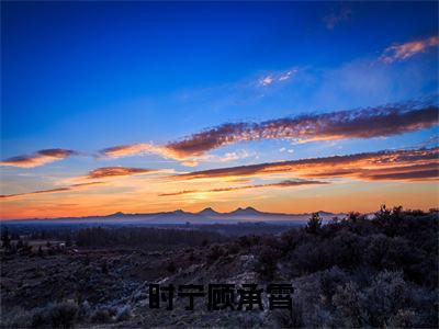 时宁顾承霄高赞小说（顾承霄时宁）完结阅读_时宁顾承霄全文完整版免费阅读最新章节列表