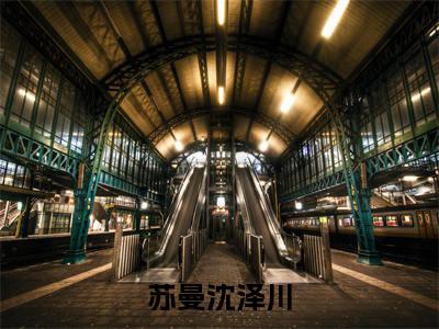 苏曼沈泽川在线阅读(苏曼沈泽川)全文免费阅读无弹窗大结局_