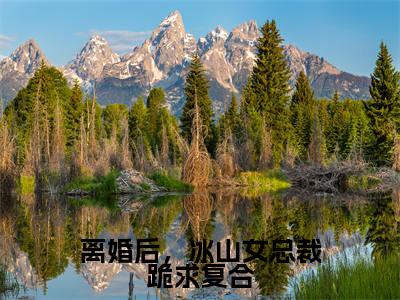 秦云小说全文免费阅读-离婚后,冰山女总裁跪求复合最新章节列表免费阅读
