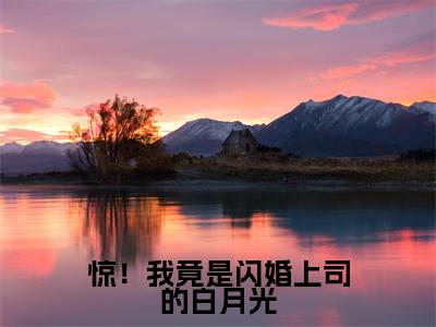 惊！我竟是闪婚上司的白月光( 温浅陆寒舟)全文阅读无弹窗大结局_惊！我竟是闪婚上司的白月光免费阅读无弹窗最新章节列表