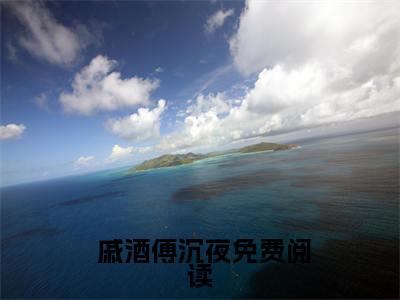 看见他就心动戚酒傅沉夜( 戚酒傅沉夜)全文免费阅读无弹窗大结局_看见他就心动戚酒傅沉夜最新章节列表_笔趣阁
