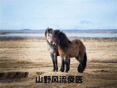 山野风流傻医（秦小川）小说在线阅读_山野风流傻医全本免费小说阅读（秦小川）