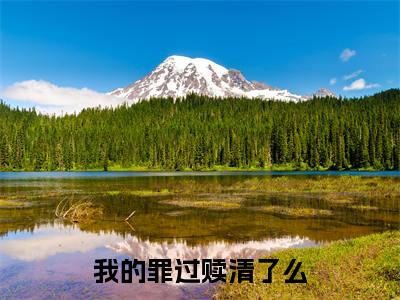 我的罪过赎清了么（兰菱）小说全文免费阅读-我的罪过赎清了么（兰菱）小说免费版最新更新阅读