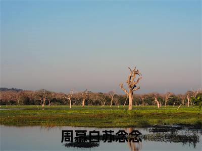 （热推新书）《周慕白苏念念》全文免费阅读无弹窗大结局_苏念念周慕白无弹窗全文阅读