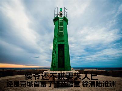 侯爷还不哄妻夫人已经是京城首富了精选篇章（ 徐清陆沧洲）免费最新小说_ 徐清陆沧洲（侯爷还不哄妻夫人已经是京城首富了精选篇章）免费版今日已更新