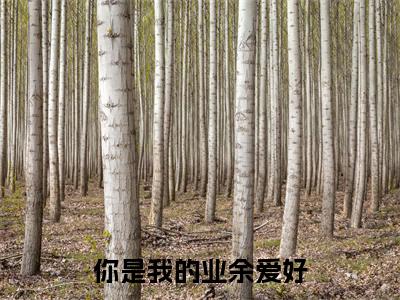 叶妤艾郝（你是我的业余爱好）全文免费阅读无弹窗大结局_叶妤艾郝在线阅读（你是我的业余爱好）