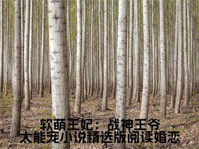 软萌王妃：战神王爷太能宠小说精选版阅读（ 林霜儿夜北承）全文免费阅读无弹窗大结局_ 林霜儿夜北承无弹窗最新章节列表_笔趣阁
