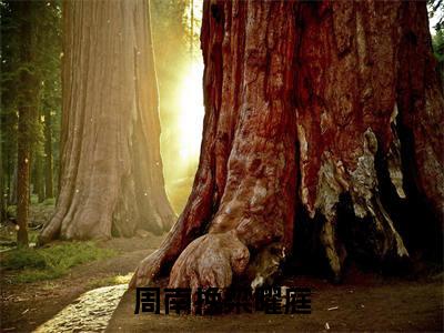 梁曜庭周南挽(周南挽梁曜庭)免费小说-周南挽梁曜庭(梁曜庭周南挽)最新章节完整版阅读