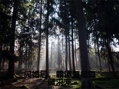 盛擎洛婉(闪婚后,霸道盛总卑微求宠)全文免费阅读无弹窗_盛擎洛婉最新小说_笔趣阁(闪婚后,霸道盛总卑微求宠)