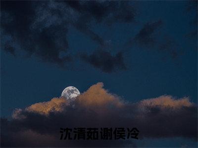 沈清茹谢侯冷（谢侯冷沈清茹）是哪部小说的主角-沈清茹谢侯冷（谢侯冷沈清茹）全文无弹窗完整版阅读