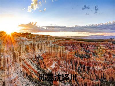 苏曼沈泽川(苏曼沈泽川)小说全文免费阅读无弹窗大结局_苏曼沈泽川小说免费阅读最新章节列表笔趣阁(苏曼沈泽川)