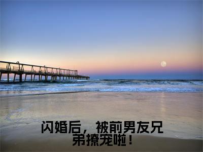 周岁沈暗抖音新书热荐 -闪婚后，被前男友兄弟撩宠啦！全文在线赏析（周岁沈暗）