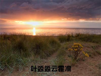 叶淼淼云霍凛(叶淼淼云霍凛小说)全文免费阅读无弹窗大结局_(叶淼淼云霍凛小说免费阅读全文大结局)最新章节列表_笔趣阁(叶淼淼云霍凛小说)