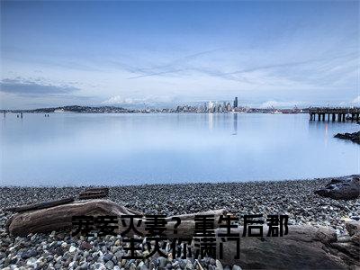 沈嘉懿小说宠妾灭妻?重生后郡主灭你满门全文免费阅读无弹窗-正版小说沈嘉懿全文阅读