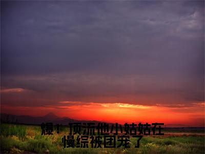 爆!顶流他小姑姑在慢综被团宠了陆绵绵陆聿白完整版最新小说大结局,爆!顶流他小姑姑在慢综被团宠了免费完结版