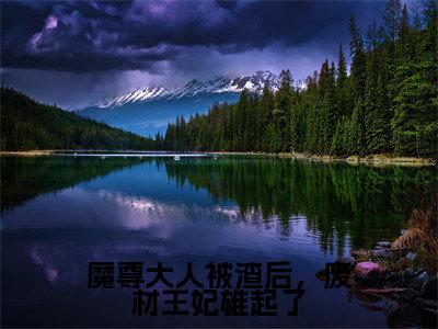 魔尊大人被渣后,废材王妃雄起了小说(夜九天君夭夭)全文免费阅读无弹窗大结局_魔尊大人被渣后,废材王妃雄起了全文免费完结版阅读(夜九天君夭夭)
