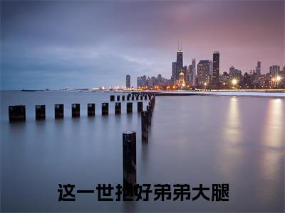 凌曦顾辞宇(这一世抱好弟弟大腿)今日爆款小说-(凌曦顾辞宇)这一世抱好弟弟大腿完结大结局免费阅读