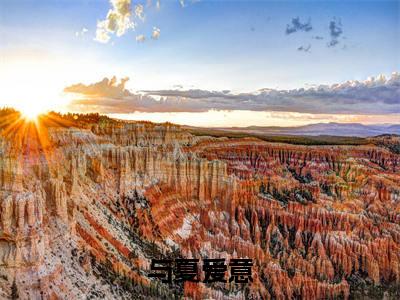 赵行衍沈夏全文免费阅读大结局 与夏爱意小说最新章节阅读无弹窗