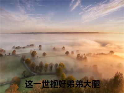 凌曦顾辞宇(这一世抱好弟弟大腿)完整版小说阅读_这一世抱好弟弟大腿全文免费阅读笔趣阁(凌曦顾辞宇)