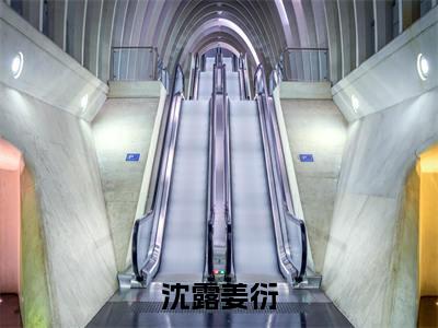 姜衍沈露精彩小说-沈露姜衍全章节免费阅读