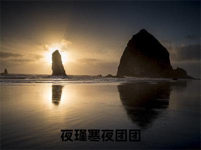 夜团团夜瑾寒免费小说-夜瑾寒夜团团小说完整版阅读