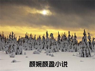 快穿福运系统，大佬她无所不能全文免费阅读无弹窗大结局- 颜婉颜盈在线阅读