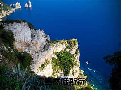 陆斯衍沈星然（沈星然陆斯衍）全文免费阅读无弹窗大结局_陆斯衍沈星然最新章节列表_笔趣阁（沈星然陆斯衍）