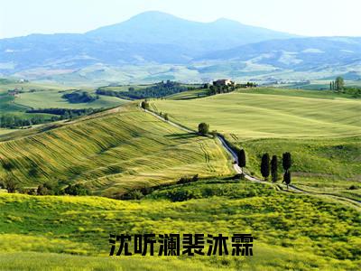 （裴沐霖沈听澜）是什么小说-沈听澜裴沐霖（裴沐霖沈听澜）免费阅读大结局最新章节列表_笔趣阁