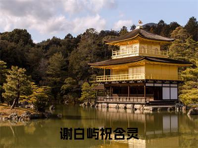 祝含灵谢白屿(谢白屿祝含灵)全文免费阅读无弹窗大结局_祝含灵谢白屿最新章节列表_笔趣阁