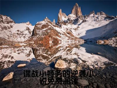 谍战小特务的逆袭小说免费阅读全文免费阅读无弹窗大结局_（ 刘长川王奎）谍战小特务的逆袭小说免费阅读免费阅读无弹窗最新章节列表_笔趣阁