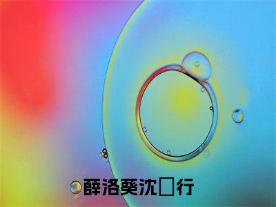 薛洛葵沈玠行（沈玠行薛洛葵）小说免费阅读完结版-薛洛葵沈玠行小说全文免费阅读