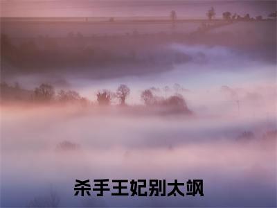 杀手王妃别太飒孟子怜墨玄朗最新章节免费阅读-杀手王妃别太飒小说推荐孟子怜墨玄朗精彩章节在线阅读
