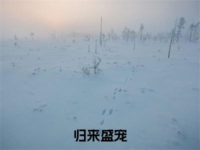 季南忆裴司御小说(归来盛宠)全文免费阅读无弹窗大结局_(季南忆裴司御)小说章节列表(归来盛宠)