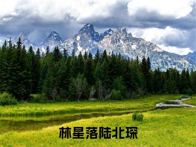 林星落陆北琛(陆北琛林星落)精彩小说-陆北琛林星落全章节免费阅读