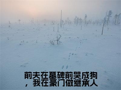 沈舒诗小说(前夫在墓碑前哭成狗,我在豪门做继承人)全文免费阅读无弹窗大结局_沈舒诗小说最新章节列表_笔趣阁(前夫在墓碑前哭成狗,我在豪门做继承人)