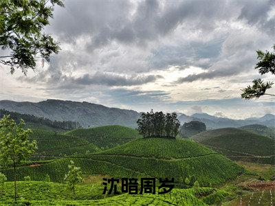 沈暗周岁（沈暗周岁）小说全文免费阅读无弹窗大结局_（沈暗周岁免费阅读）沈暗周岁最新章节列表笔趣阁