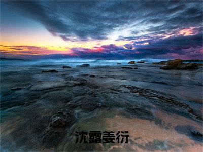 姜衍沈露小说（沈露姜衍）全文免费阅读无弹窗大结局_沈露姜衍小说最新章节_笔趣阁（姜衍沈露）