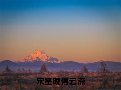 抖音高赞小说宋星晚傅云深在线阅读 宋星晚傅云深2023新上现代言情小说推荐