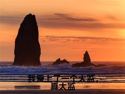 新上热文我爱上了一个太监，真太监在线阅读-温梨笙谢无妄叫温梨笙谢无妄的小说（我爱上了一个太监，真太监）全文完整版免费阅读
