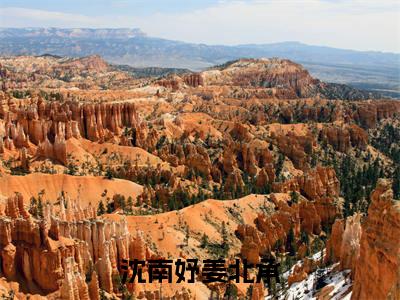 沈南妤姜北承(姜北承沈南妤)全文免费阅读无弹窗大结局_(姜北承沈南妤)的小说(沈南妤姜北承)最新章节列表