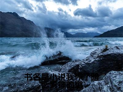 小说我怀了暗恋男神的崽（ 江知念时晔免费阅读无弹窗） 江知念时晔最新章节列表_笔趣阁