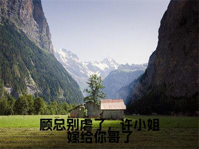 小说顾哲宇许妍全文阅读-顾总别虐了,许小姐嫁给你哥了小说顾哲宇许妍大结局