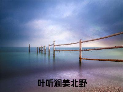 主角为姜北野叶听澜的小说-叶听澜姜北野(姜北野叶听澜)全文完整版阅读