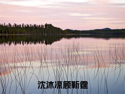 沈沐凉顾靳霆（沈沐凉顾靳霆）全文免费阅读无弹窗_沈沐凉顾靳霆小说免费阅读_笔趣阁
