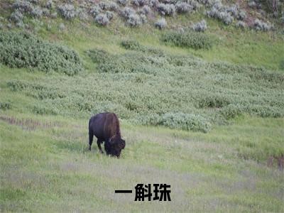 一斛珠小说无弹窗(叶崇磬郗屹湘)全文免费阅读无弹窗大结局_(叶崇磬郗屹湘)叶崇磬郗屹湘最新章节列表_笔趣阁(一斛珠)