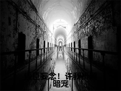 佞臣妄念！许我折腰暗宠免费小说-佞臣妄念！许我折腰暗宠完结版在线阅读