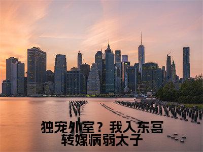 独宠外室？我入东宫转嫁病弱太子小说（ 沈若惜慕容珩）全文免费阅读无弹窗大结局_独宠外室？我入东宫转嫁病弱太子小说免费阅读最新章节列表笔趣阁（ 沈若惜慕容珩）