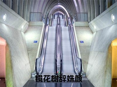 镜花树辞姝颜小说全文免费阅读无弹窗-（舒颜桐涟阅读无弹窗）穿越小说免费阅读_笔趣阁