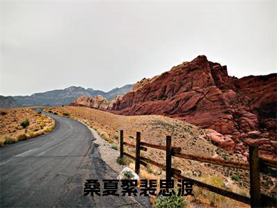 裴思渡桑夏絮全文（桑夏絮裴思渡）全文免费阅读无弹窗大结局_桑夏絮裴思渡免费最新章节列表_笔趣阁